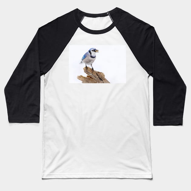 Blue on White - Blue jay Baseball T-Shirt by Jim Cumming